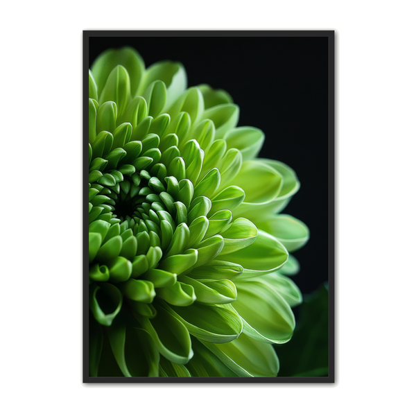 Farverig Blomsterplakat 159 – Dekorativ Kunst til Dit Hjem
