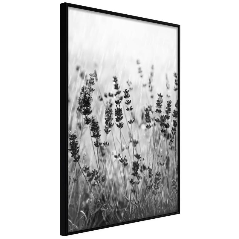Artgeist Plakat Med Ramme Shadow Meadow Sort Med Passepartout 40x60 - Artgeist Plakater  - 5904419723947