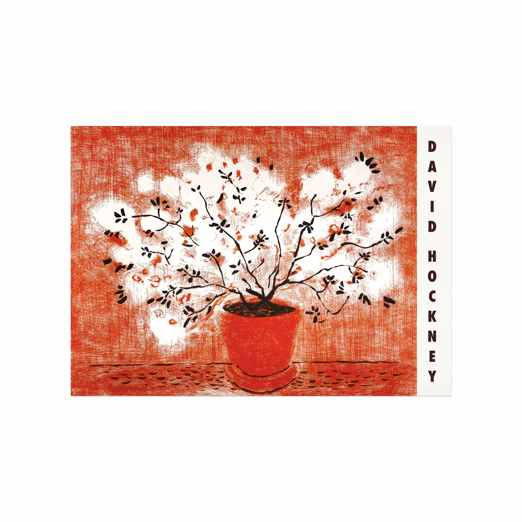 David Hockney Plakat - Rød Etching Kunstplakat