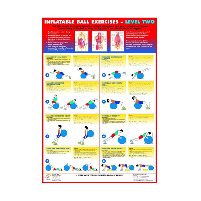 Inflatable Ball Exercises Plakat Med øvelser - Sportson Plakater  - 5744003440320