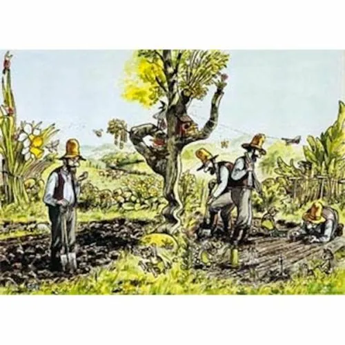 Kackel Grnsaklandet Plakat - Hjelm Förlag Plakater  - 7393182007039