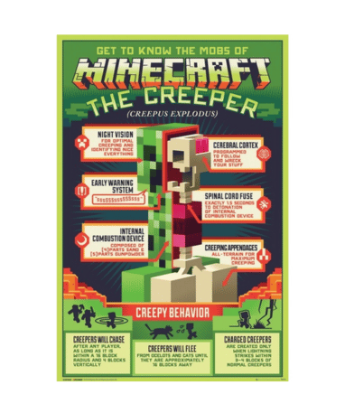 Minecraft Plakat Med Creeper Anatomi 91cm - Plakater