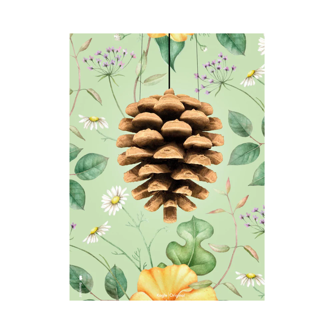 Grøn Plakat Med Koglen Flora 50x70 - Brainchild Plakater  - 5713713200901
