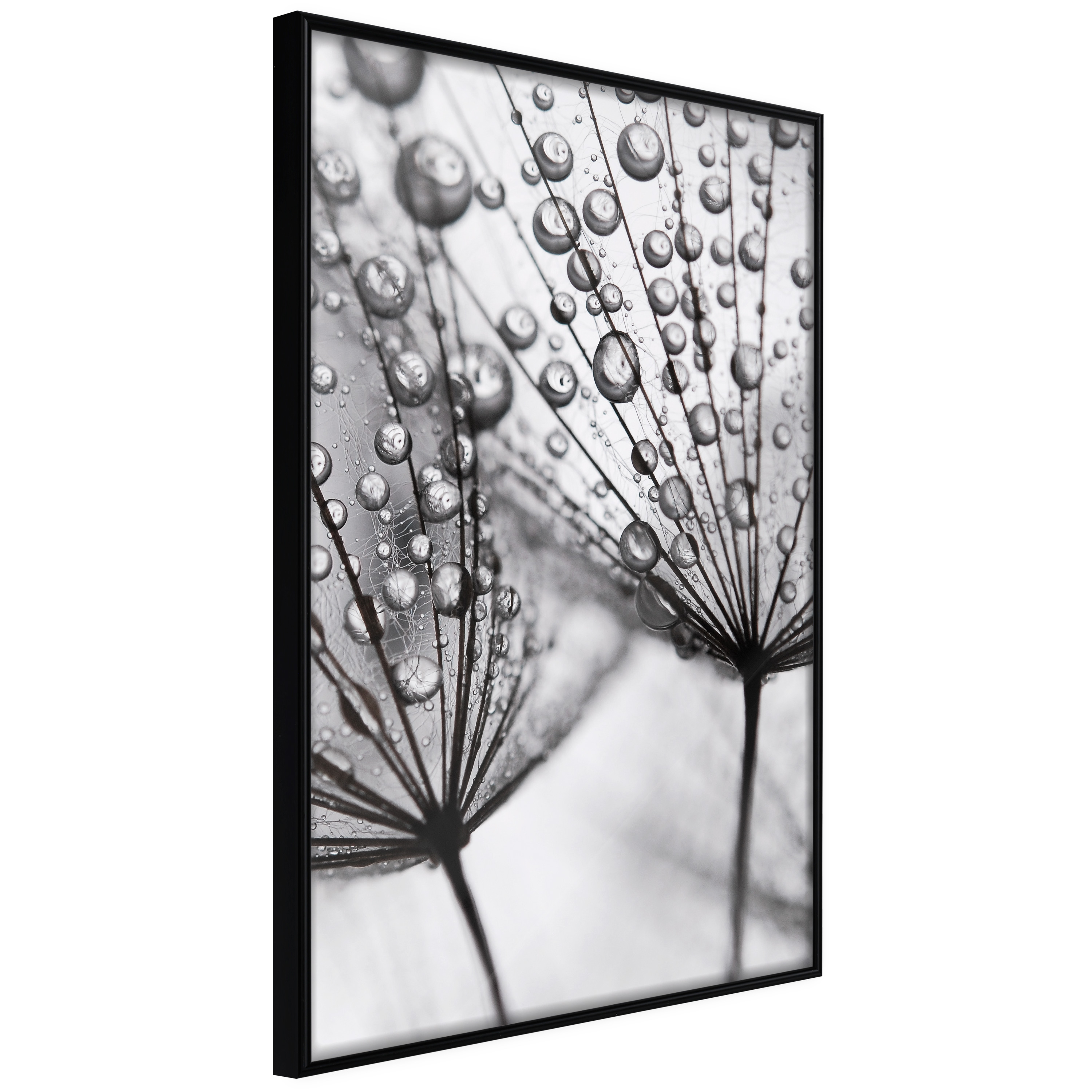 Artgeist Plakat Med Ramme Dew The Macro Scale Guld 40x60 - Artgeist Plakater  - 5901493721364