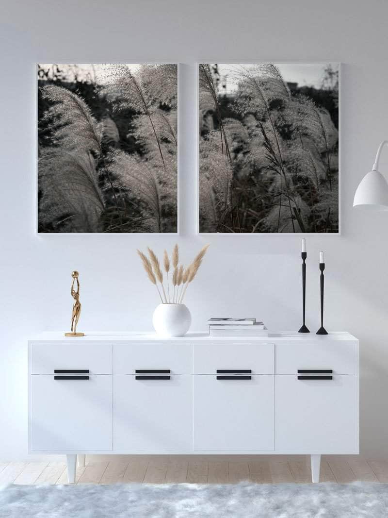 Pampas Plakat - Postersbyus Plakater