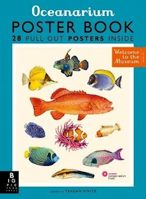 Oceanarium Poster Book Loveday Trinick Bog - Loveday Trinick Plakater  - 9781800783652