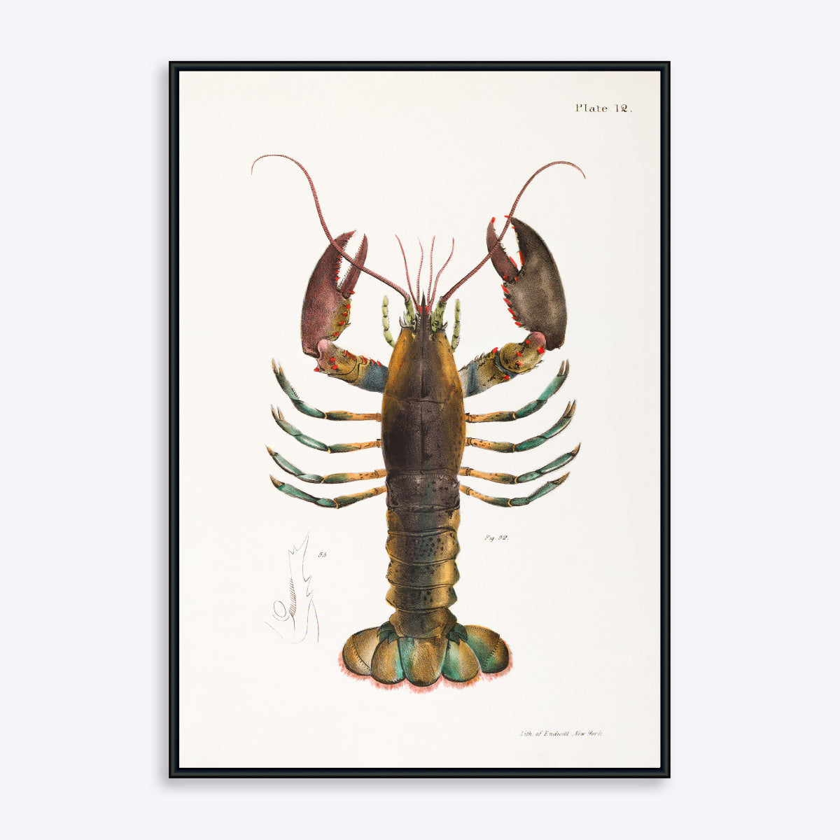Blueish Lobster 21x30 - Poster Society Plakater