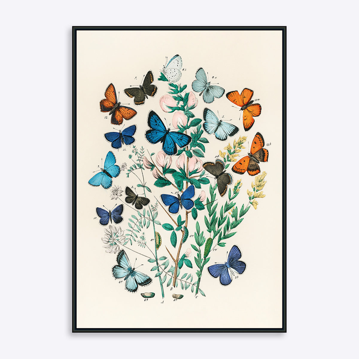 Butterflies 21x30 - Poster Society Plakater