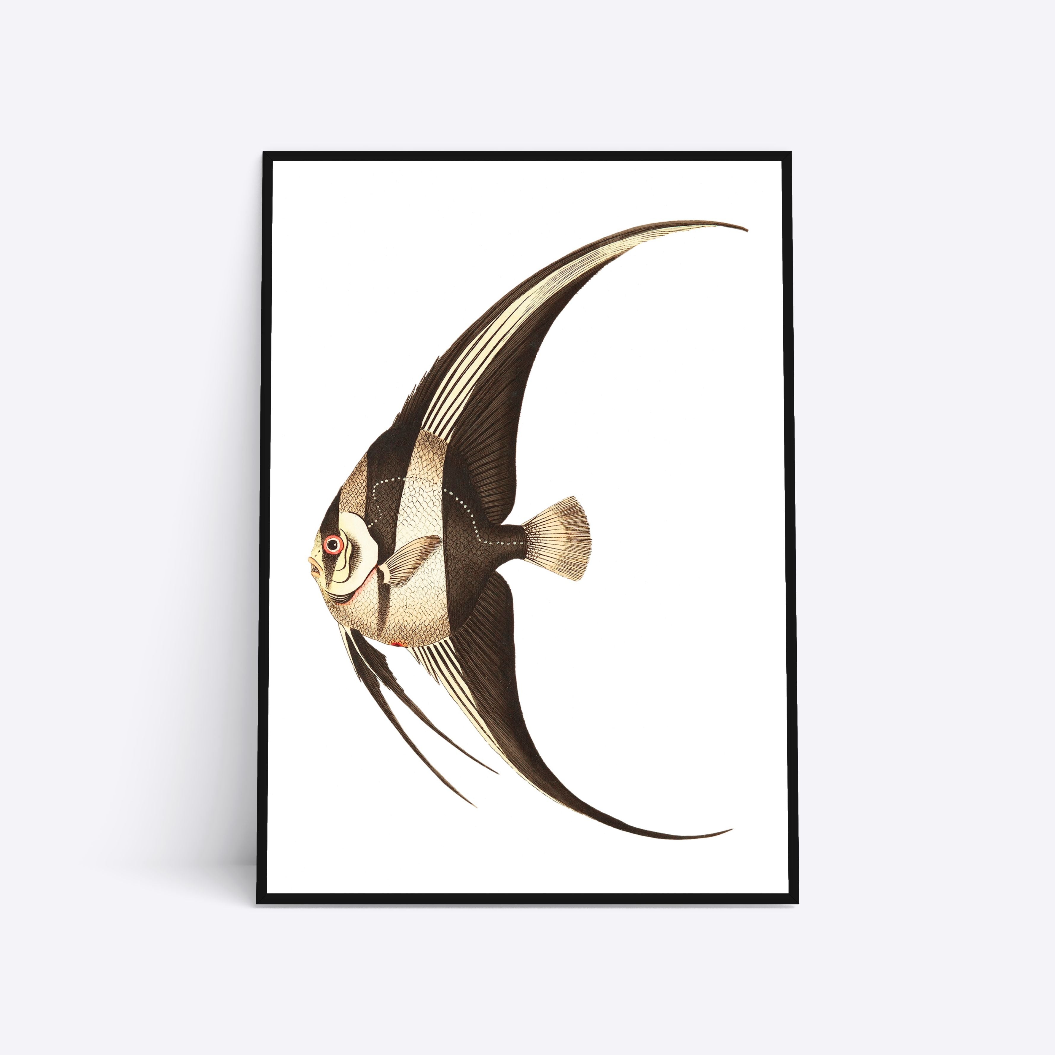 Brown Fish 21x30 - Poster Society Plakater
