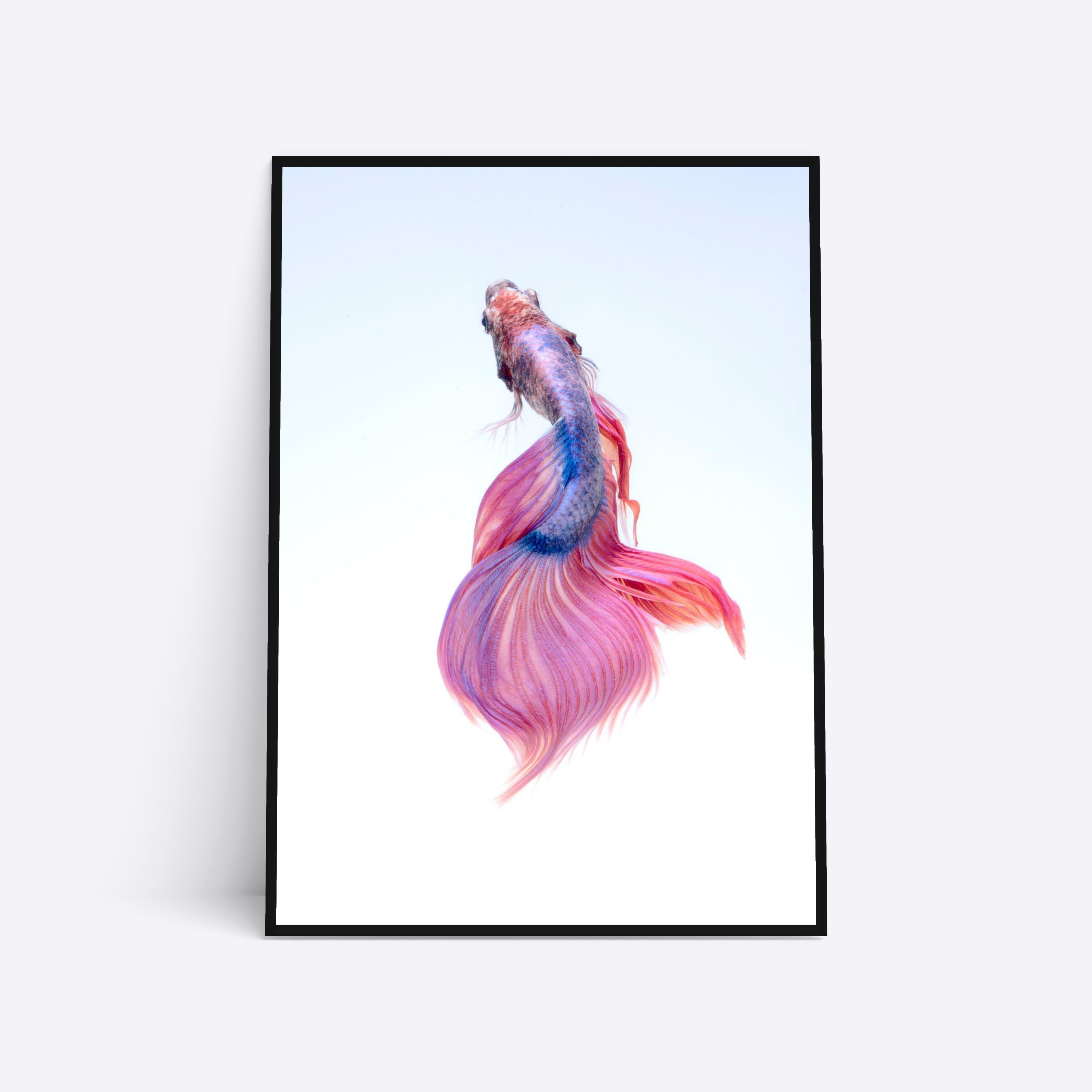 Lilla Purple Veilfish 21x30 - Poster Society Plakater