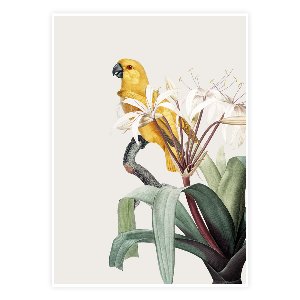 Botanisk Harmoni Plakat - Designs.dk Plakater