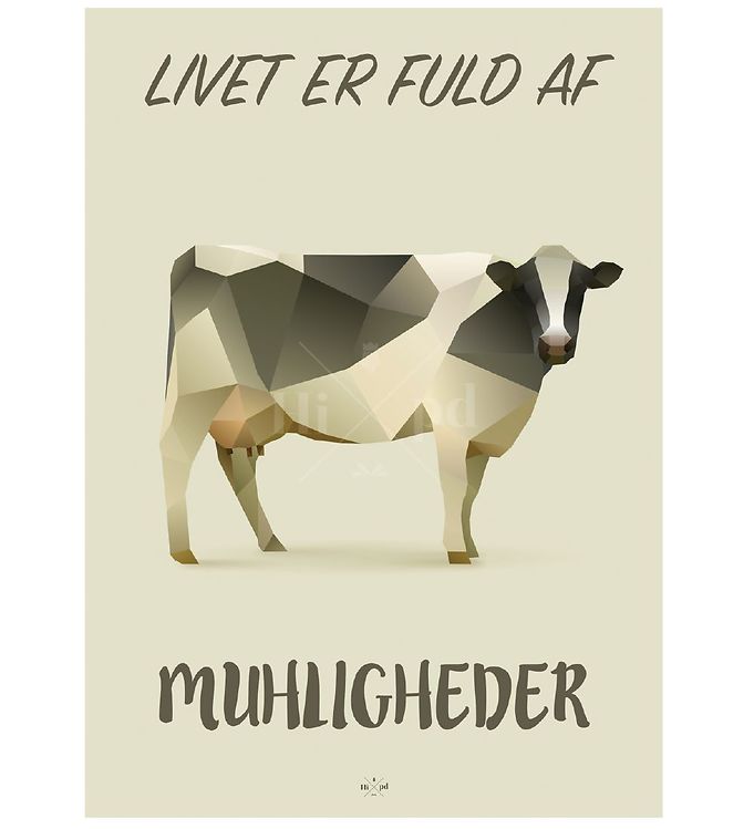 Brun Hipd Plakat 50x70 Cow - Hipd Plakater  - 5714460325164