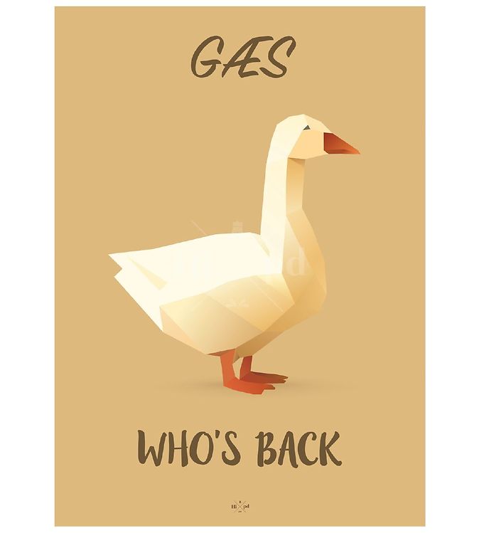 Orange Hipd Plakat Goose - Hipd Plakater  - 5714460325584