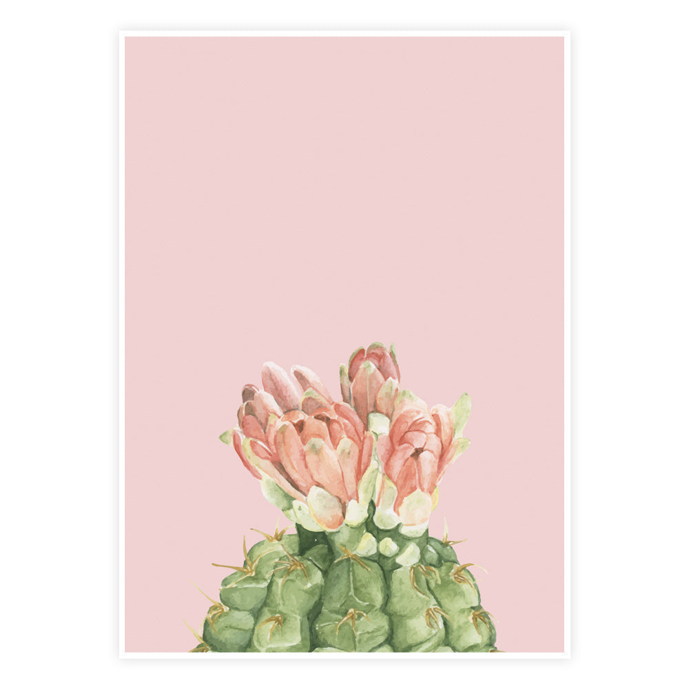 Pink Prickle Plakat - Designs.dk Plakater