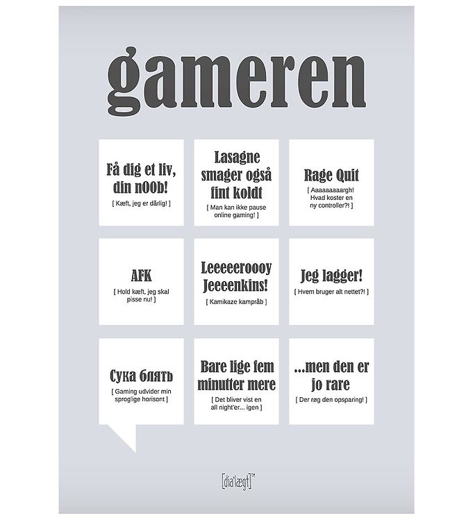 Grå Dialægt Plakat 30x42 Gameren - Dialægt Plakater  - 5713954295068