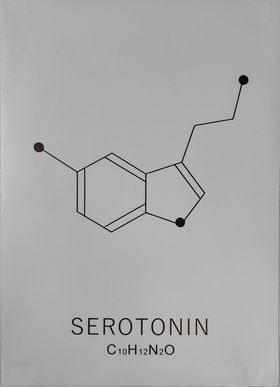 Plakat Serotonin - Plakater  - 712221731389