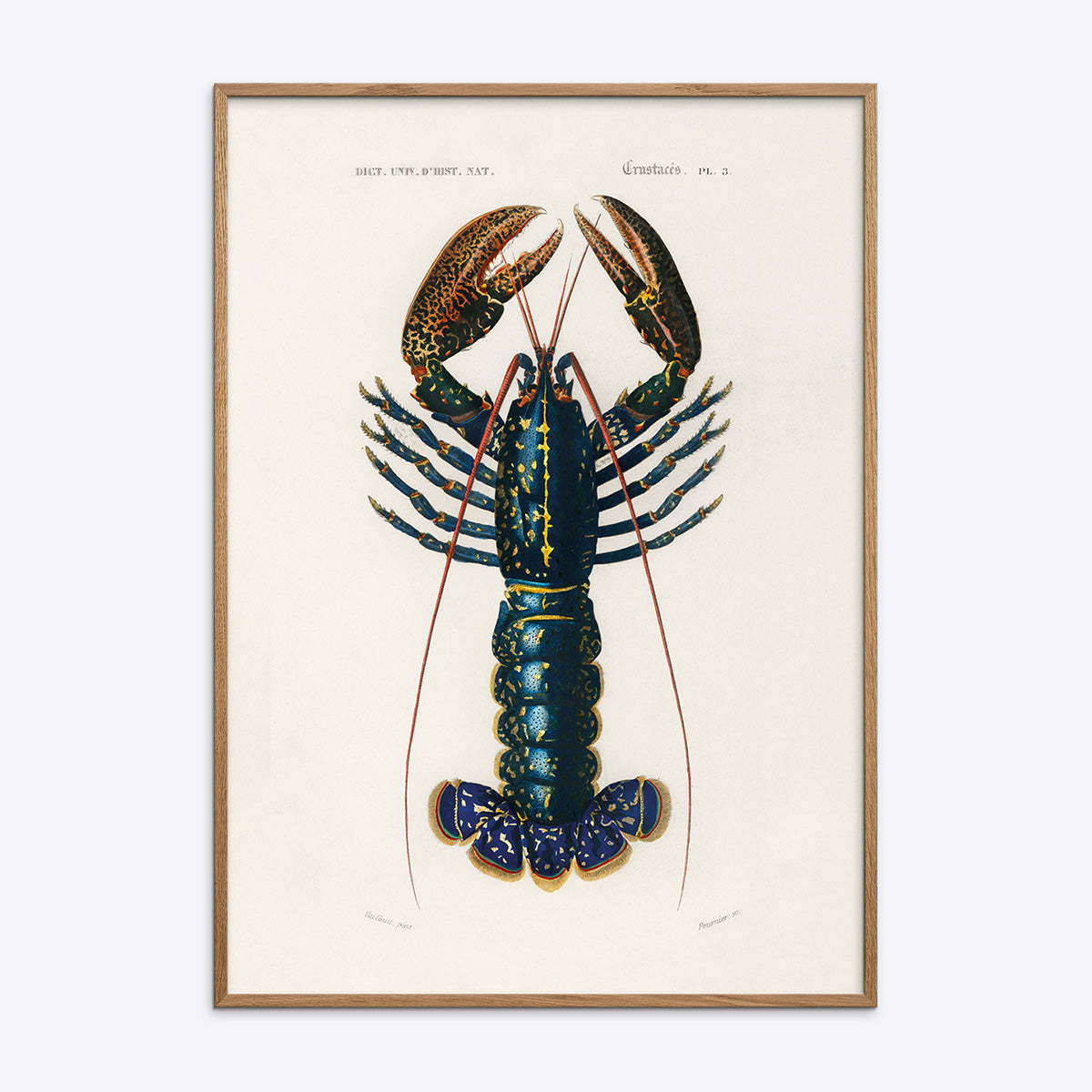 Crimson Crawfish 21x30 - Poster Society Plakater