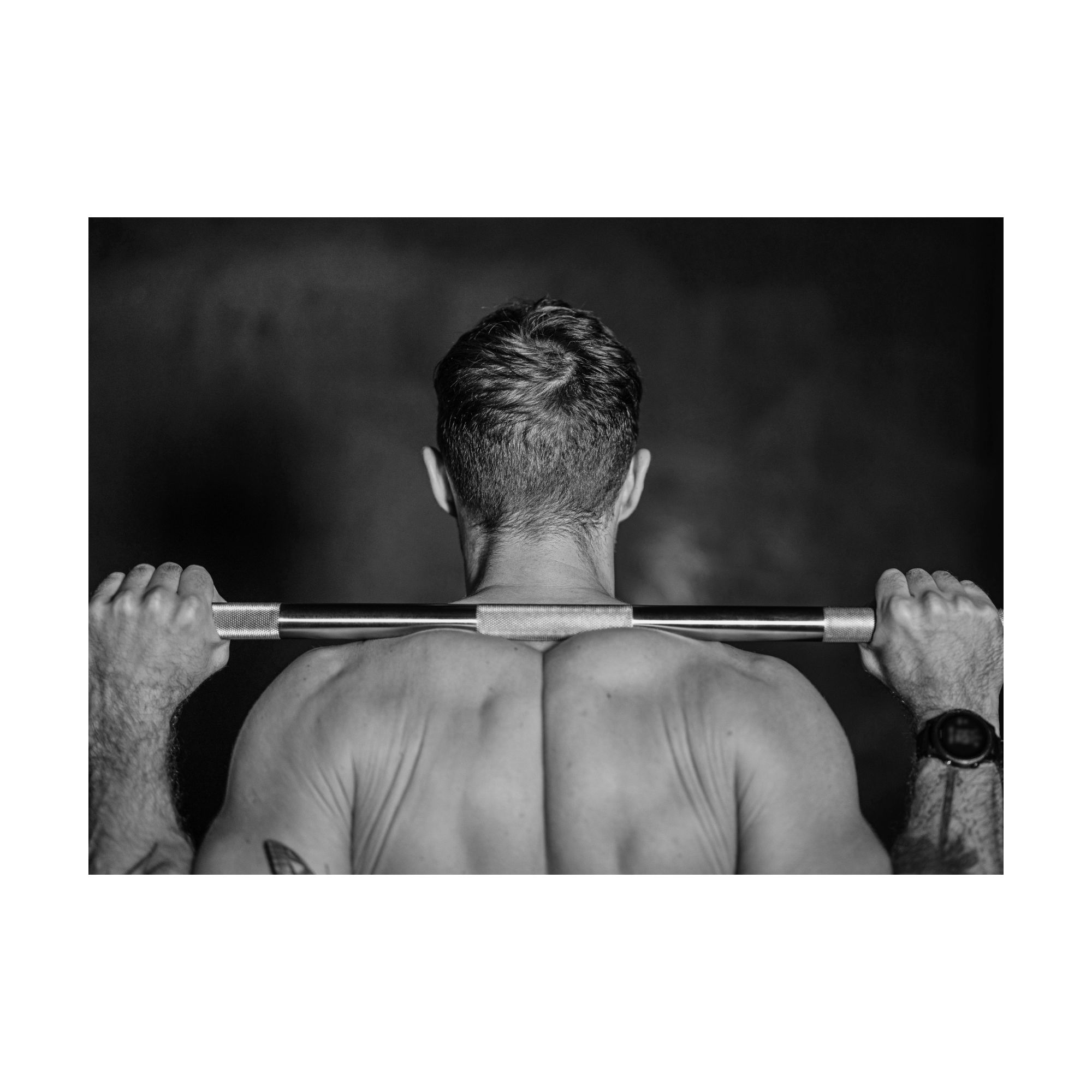 Plakat Stang 200 100 - Fitness Engros Plakater