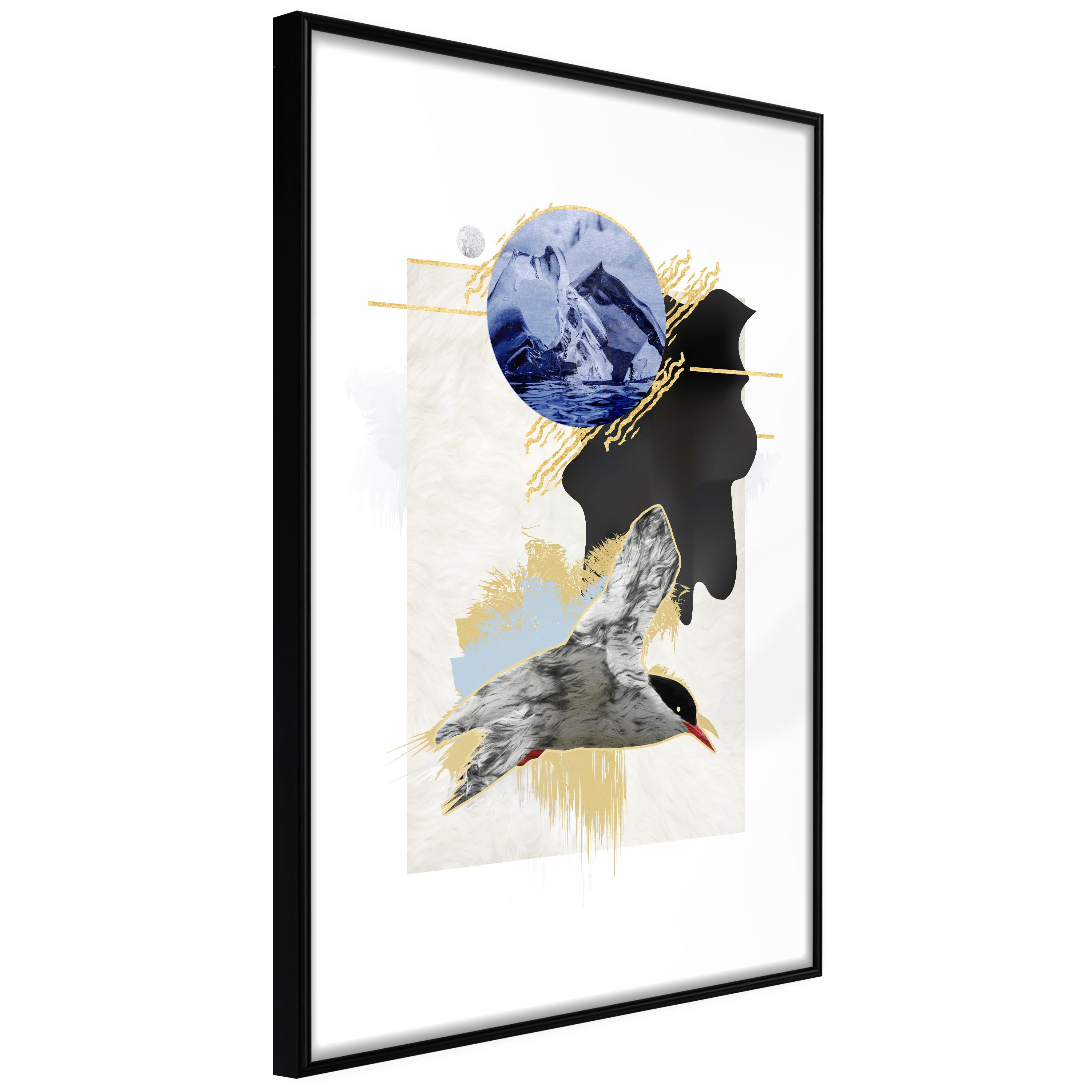 Sort Plakat Antarctic Tern Ramme - Boligcenter Plakater  - 5903617085932