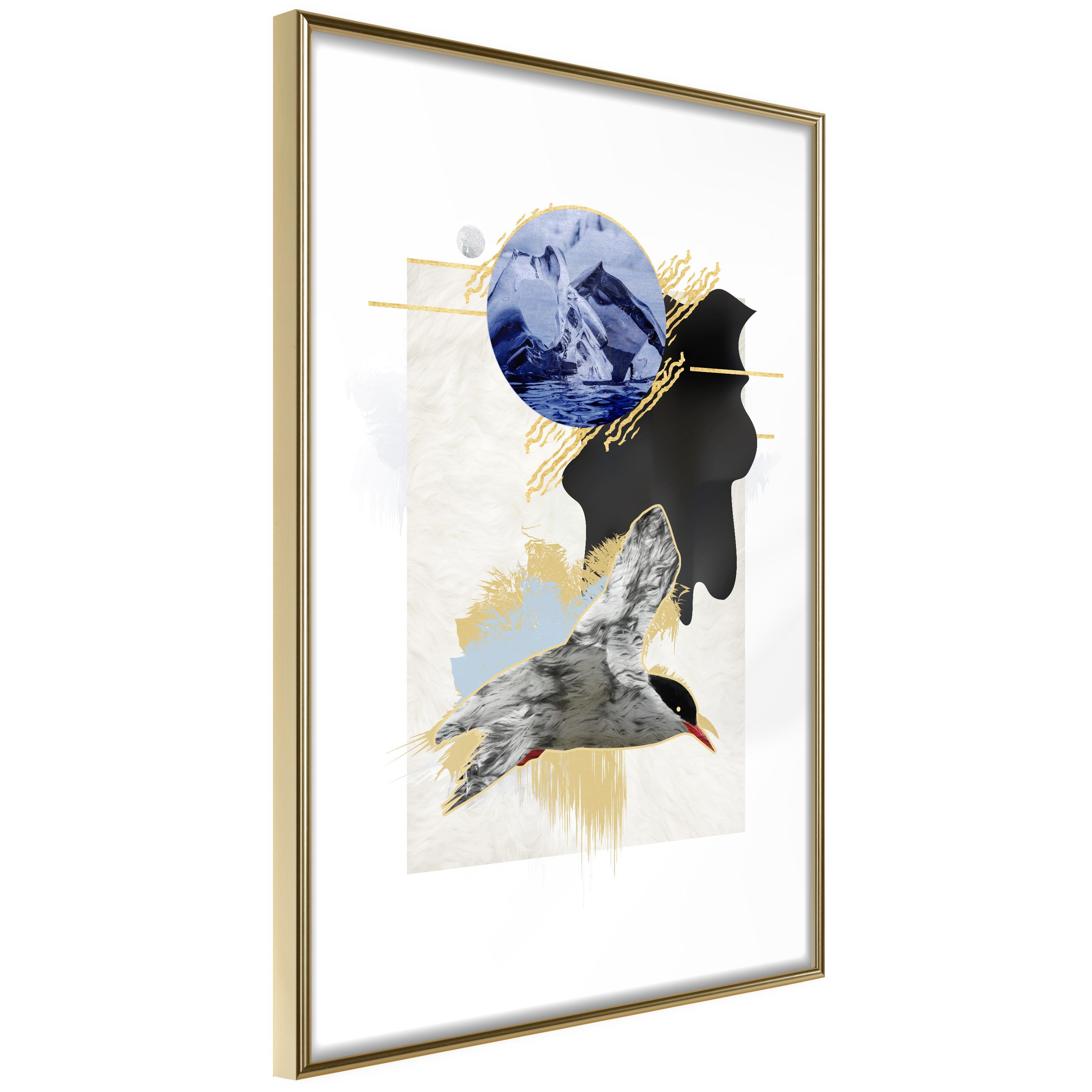 Plakat Antarctic Tern Guldramme - Boligcenter Plakater  - 5903617085956