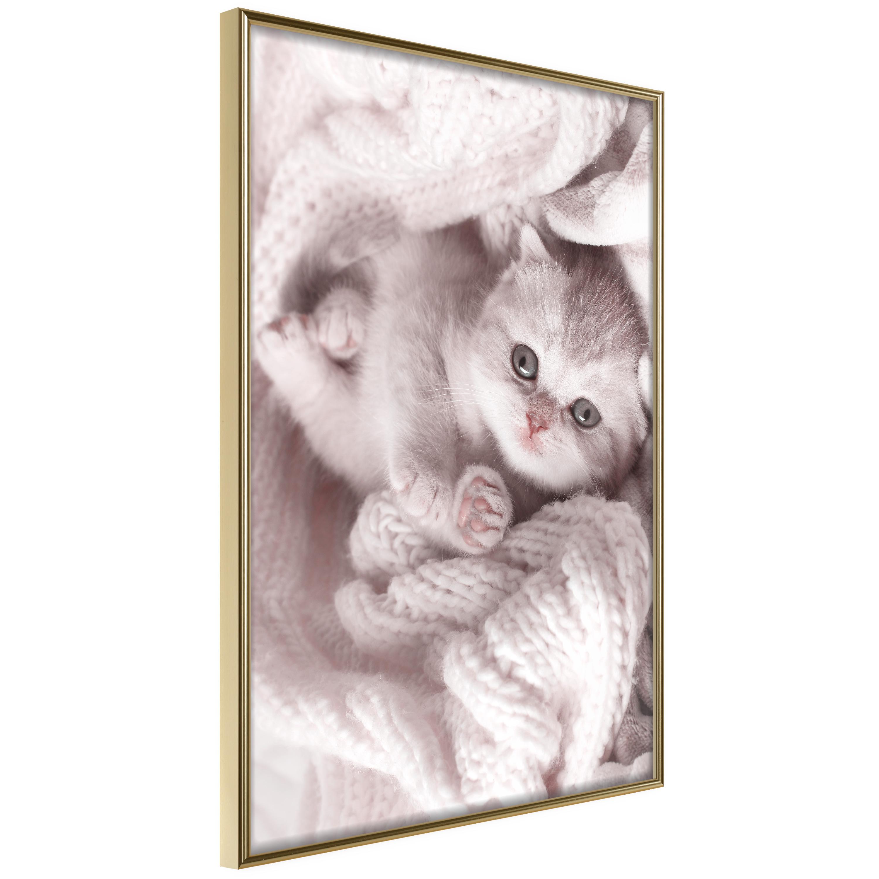 Plakat Lover Rest Guldramme - Boligcenter Plakater  - 5904419736190