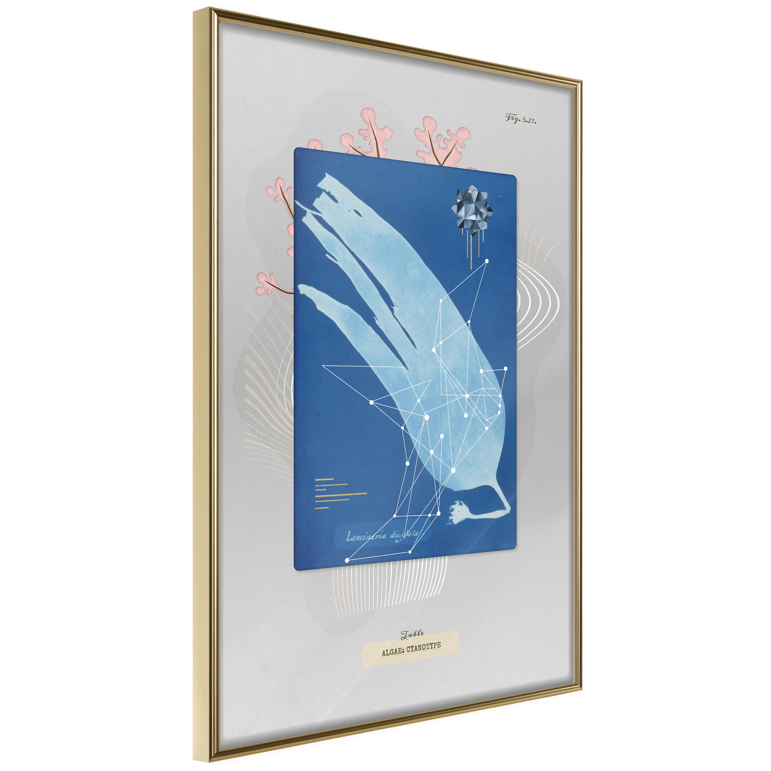 Plakat Alga Guldramme - Boligcenter Plakater  - 5903617088292