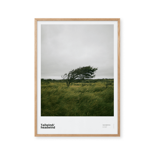 Hvid Pelton Tailwind Headwind 70x100 Plakat - Peléton Plakater  - 5715734044330