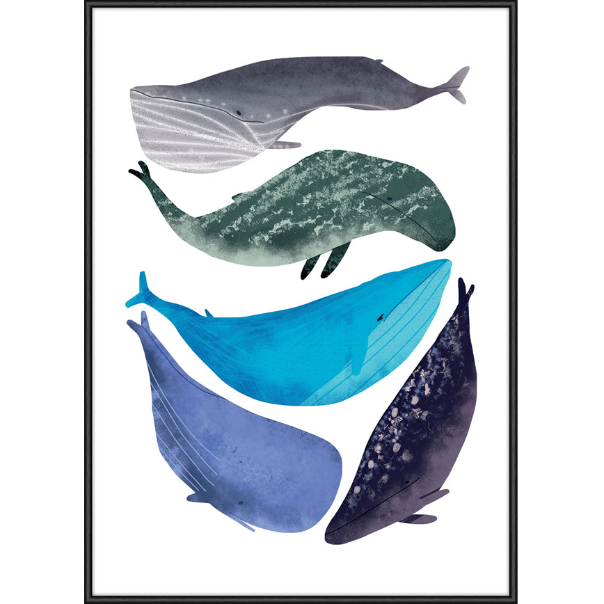 Cetacea Plakat - Incado Plakater
