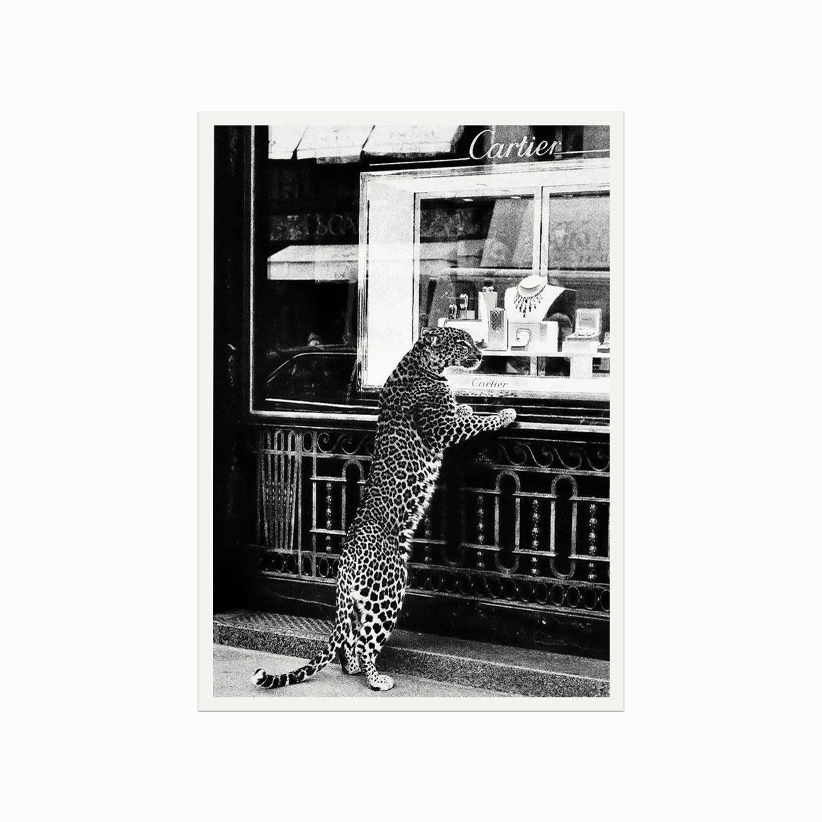 Fashion Plakat Cartier Cheetah The Jewellery Store - Designplakater Plakater