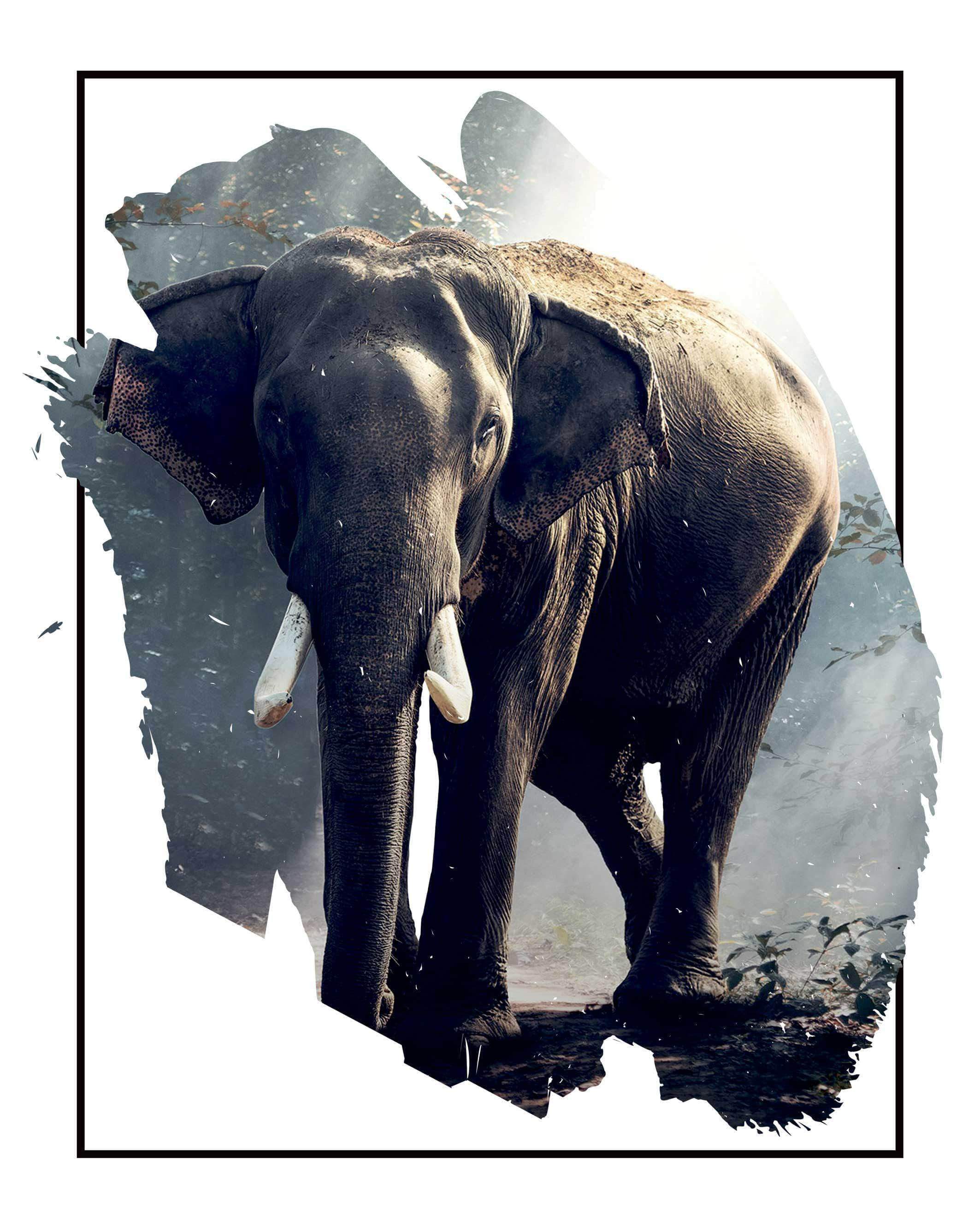 Elefant Skovlysning Plakat - Postersbyus Plakater