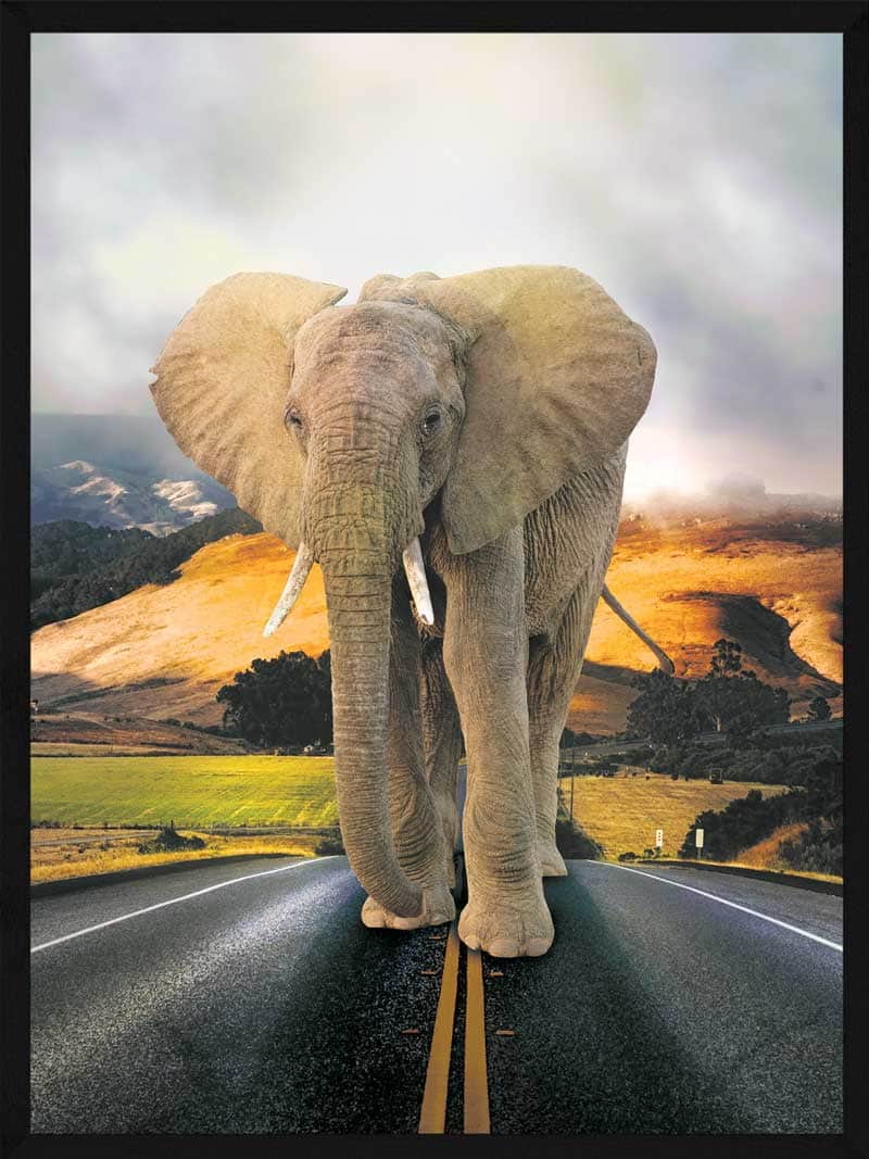 Elefant Vejen Plakat - Postersbyus Plakater