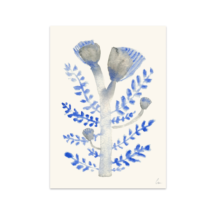 Januari 30x40cm - Plakater