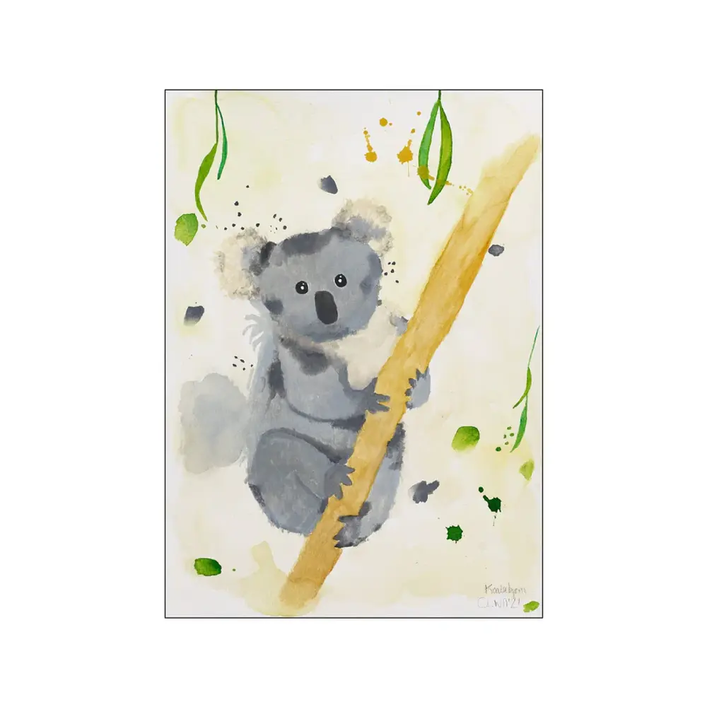 Plakat Koalabjørn 50x70 - Plakater  - 5713713419155