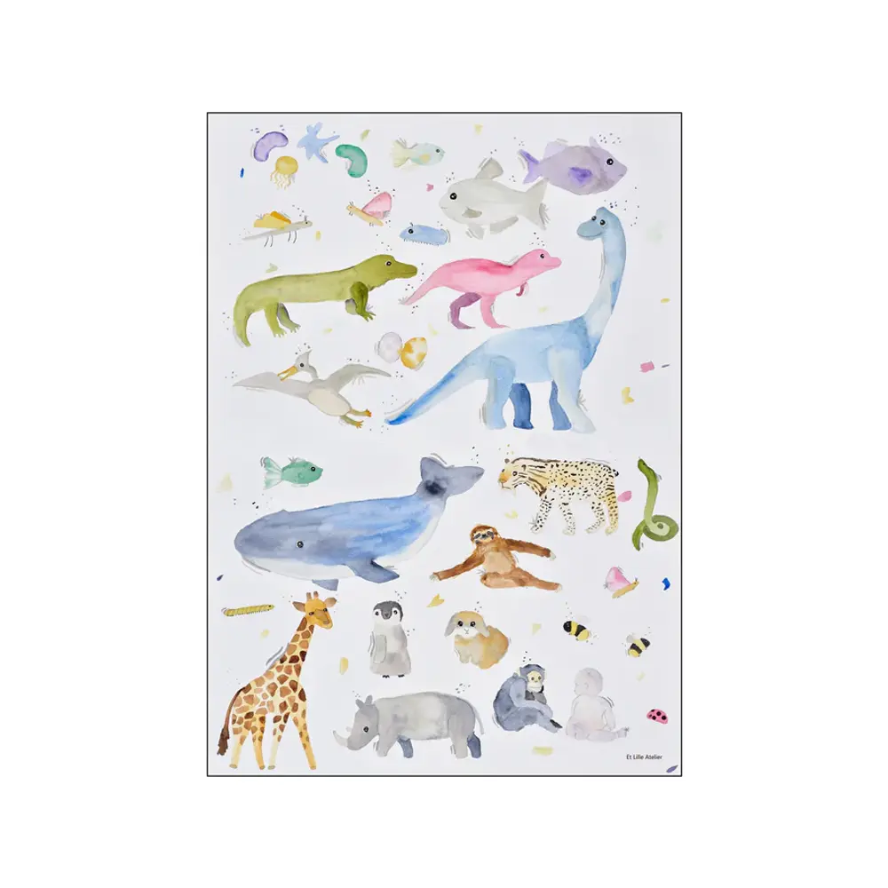 Plakat Livet Jorden 50x70 - Plakater  - 5715551658864