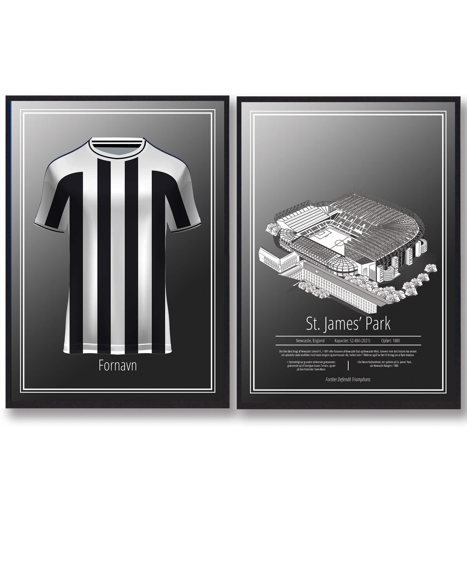 Newcastle Trøje Stadion Plakatsæt - Plakatdyr.dk Plakater